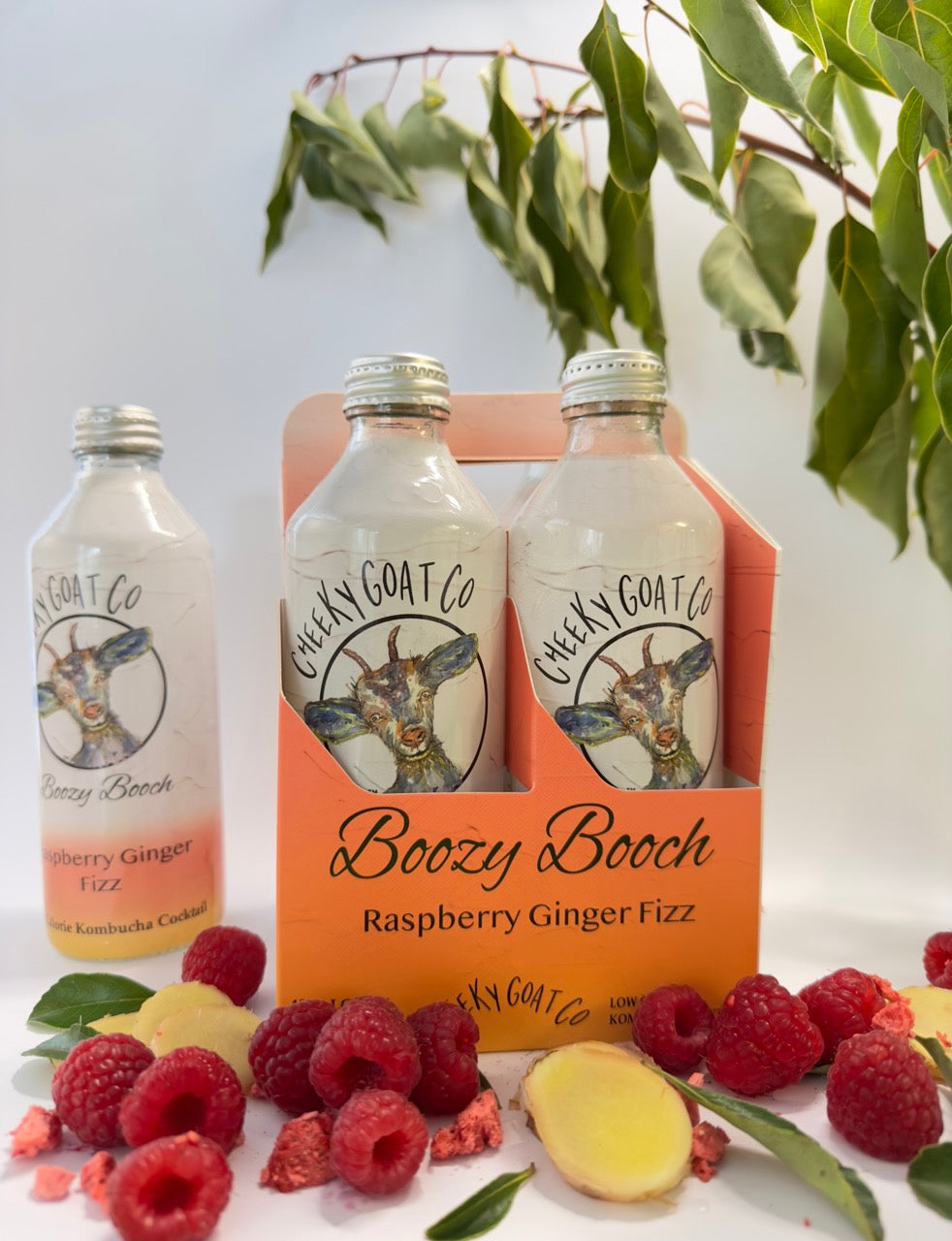 CHEEKY GOAT CO Boozy Booch RASPBERRY GINGER FIZZ 4PK